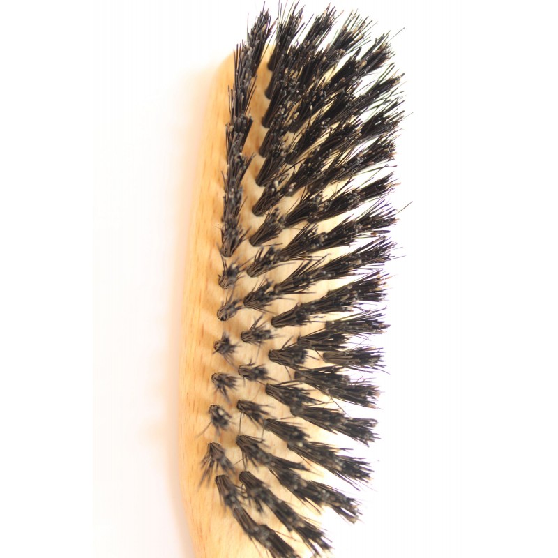 Baxter et Bella - Brosse à Picots - Poils Long - Chien – Boutique Animali