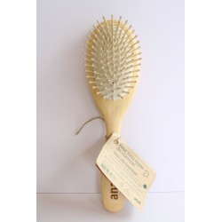 Brosse plate à picots