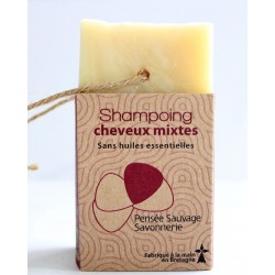 Shampoing cheveux mixte