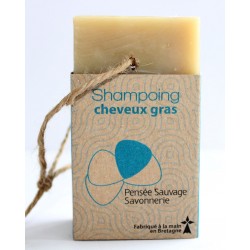 Shampoing cheveux gras